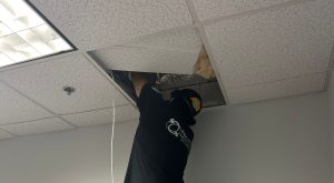 hands on network cabling