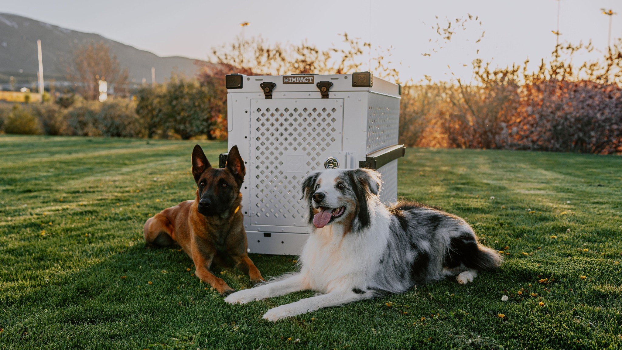 Home 173 premium dog crate working dogs